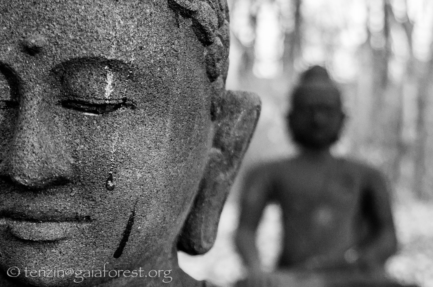 Public Talk:  Zen and the Art of Acceptance - Finding ground for healing and growth in times of sudden change