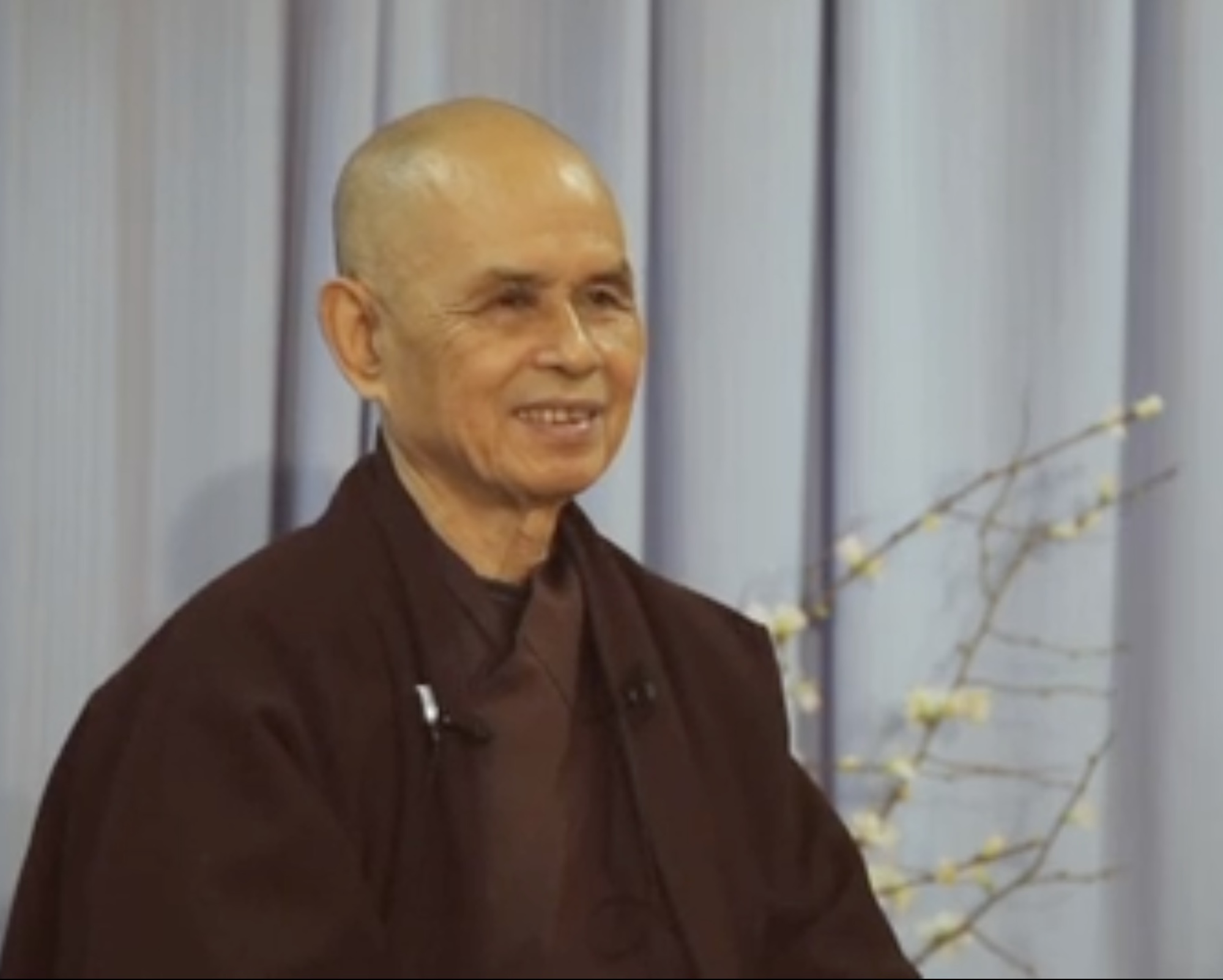 Video: Thich Nhat Hanh on  the insight of interbeing
